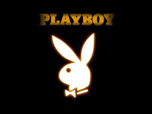Papel de Parede Desktop Playboy