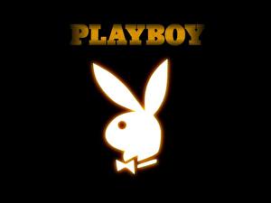 Bakgrunnsbilder Playboy