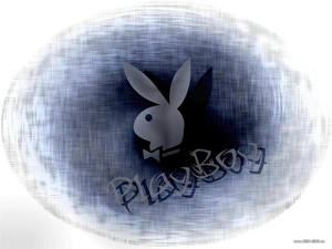 Bureaubladachtergronden Playboy