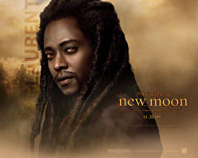 Bureaubladachtergronden The Twilight Saga The Twilight Saga: New Moon