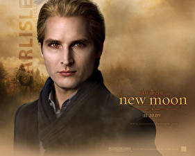 Bureaubladachtergronden The Twilight Saga The Twilight Saga: New Moon Films