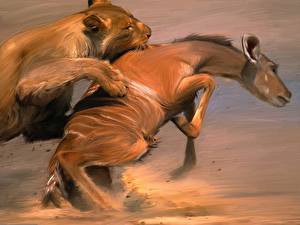 Wallpaper Big cats Lions Hunt Animals