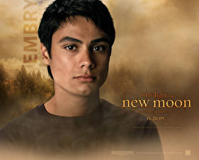 Sfondi desktop The Twilight Saga The Twilight Saga: New Moon