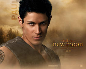 Bakgrundsbilder på skrivbordet The Twilight Saga The Twilight Saga: New Moon