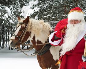 Фотография Праздники Рождество Санта-Клаус Борода
