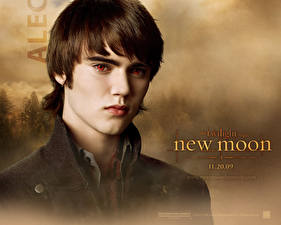Bakgrundsbilder på skrivbordet The Twilight Saga The Twilight Saga: New Moon Filmer