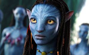 Tapety na pulpit Avatar 2009 film