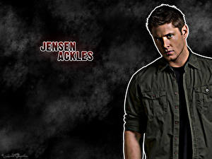 Bakgrundsbilder på skrivbordet Supernatural (TV-serie) Jensen Ackles Jacka