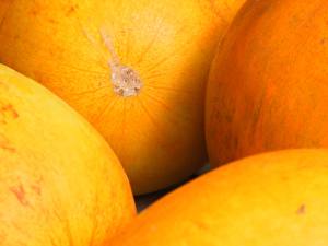 Bakgrunnsbilder Frukt Meloner Mat