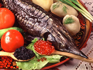 Hintergrundbilder Meeresfrüchte Kaviar Lebensmittel