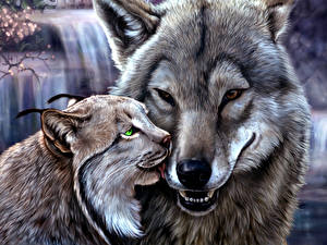 Photo Wolves Big cats Lynxes