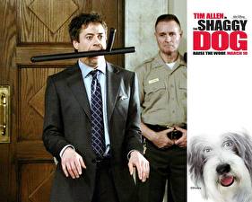 Wallpapers The Shaggy Dog Movies