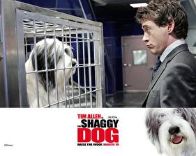 Bakgrundsbilder på skrivbordet The Shaggy Dog film