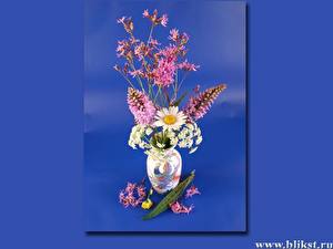 Papel de Parede Desktop Buquês Ikebana flor
