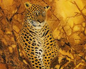 Фото Большие кошки Рисованные Леопарды животное