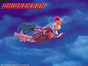 Bilder Chicken Run – Hennen rennen