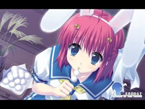 Bureaubladachtergronden Bunny meisje Konijnenoren Anime