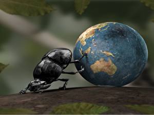 Bakgrundsbilder på skrivbordet Skalbaggar 3D grafik
