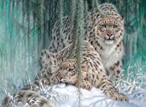 Fondos de escritorio Grandes felinos Dibujado Leopardo de las nieves animales