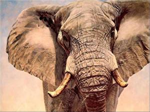 Papel de Parede Desktop Elefantes um animal