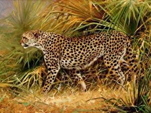 Bureaubladachtergronden Pantherinae Jachtluipaarden Getekende Dieren