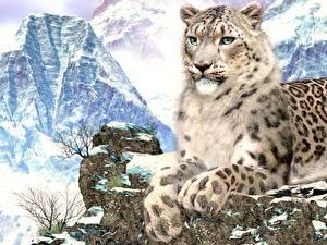 Bureaubladachtergronden Pantherinae Sneeuwpanter Getekende een dier