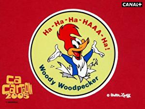 Bakgrunnsbilder Woody Woodpecker