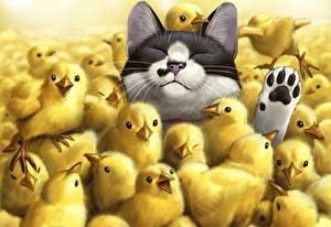 Pictures Cats Birds Chicks Animals
