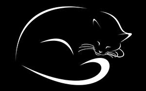 Fonds d'écran Les chats Image vectorielle Fond noir un animal