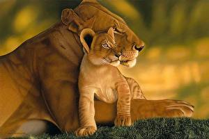 Wallpaper Big cats Lion Lioness Cubs  Animals