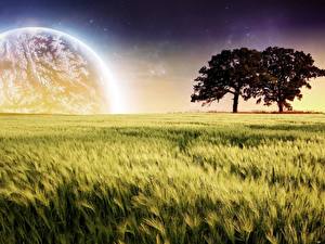 Photo Fields Planet Nature Space