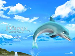 Papel de Parede Desktop El delfin: La historia de un sonador