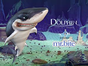 Картинки Дельфин: История мечтателя злобная акула Мультфильмы