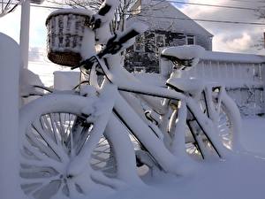 Фотография Сезон года Зима Велосипед Снеге Природа