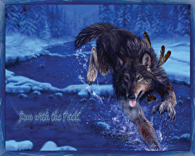 Tapety na pulpit Magiczne zwierzęta Wilkołak wilk