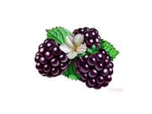 Image Fruit Blackberry Food