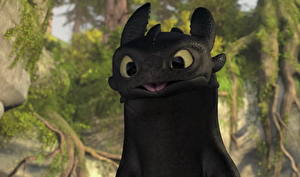 Images How to Train Your Dragon Cartoons