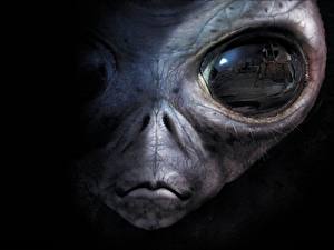 Papel de Parede Desktop Tipologia extraterrestre Rosto Area 51 Filme