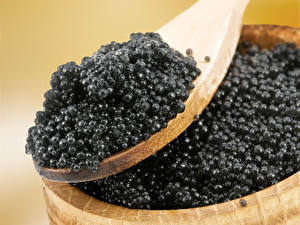 Fonds d'écran Fruits de mer Caviar aliments