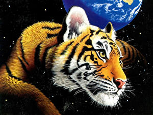 Desktop hintergrundbilder Große Katze Tiger Gezeichnet Tiere