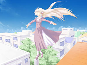Pictures Chobits Anime