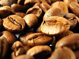 Photo Coffee Closeup Grain Food