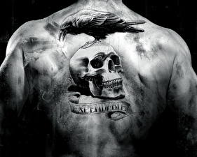 Pictures The Expendables 2010 Skulls Human back Tattoos Movies