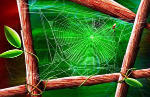 Pictures Spider silk 3D Graphics