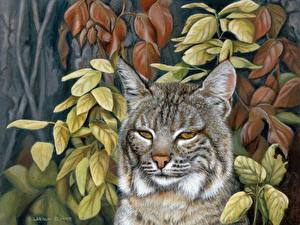 Picture Big cats Lynxes Painting Art Animals