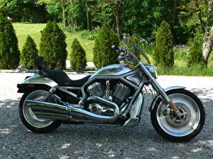 Fonds d'écran Harley-Davidson moto