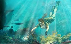 Фотография Tomb Raider Tomb Raider Anniversary Лара Крофт Игры