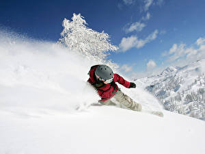 Bilder Snowboard sportliches