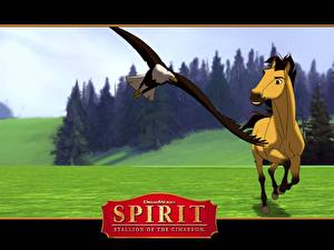 Bilder Spirit – Der wilde Mustang