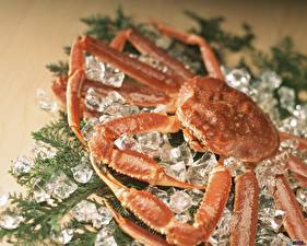 Fonds d'écran Fruits de mer Crabes
